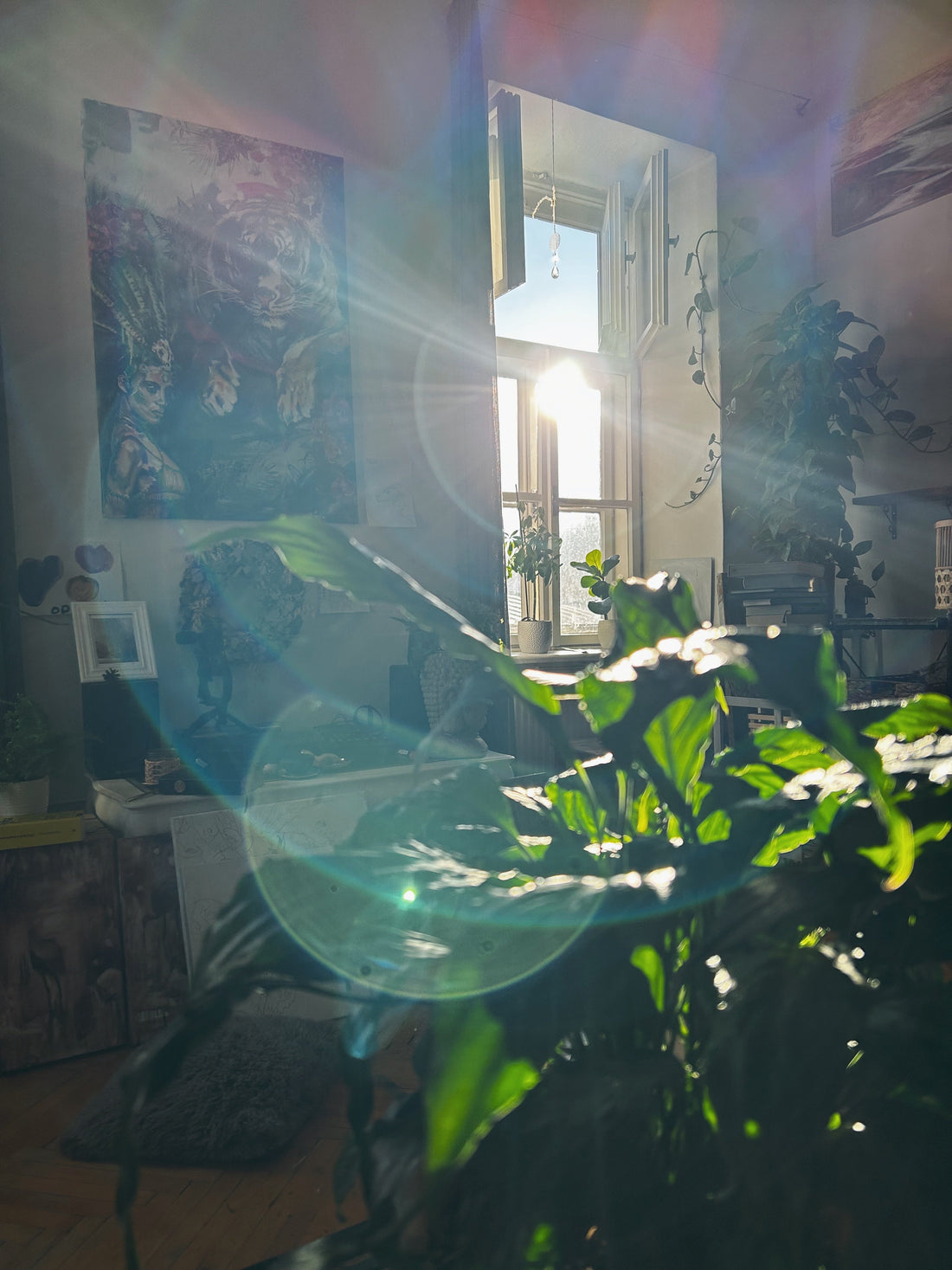 Sunlight streaming through an open window in a cozy artists atelier